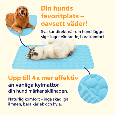 Frostiq™ - Den självkylande matta