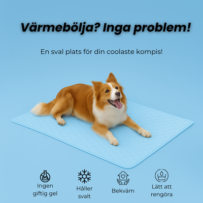 Frostiq™ - Den självkylande matta